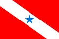 Bandeira do Pará.png
